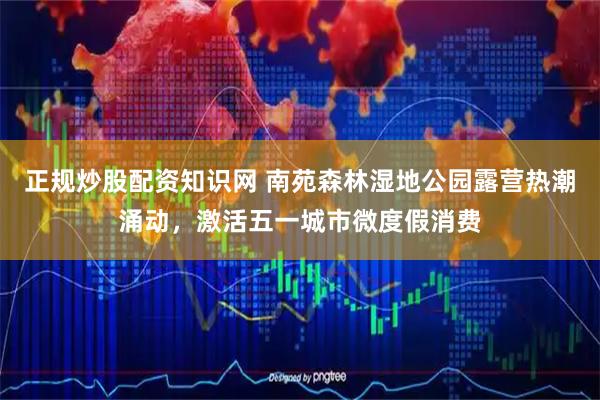 正规炒股配资知识网 南苑森林湿地公园露营热潮涌动，激活五一城市微度假消费